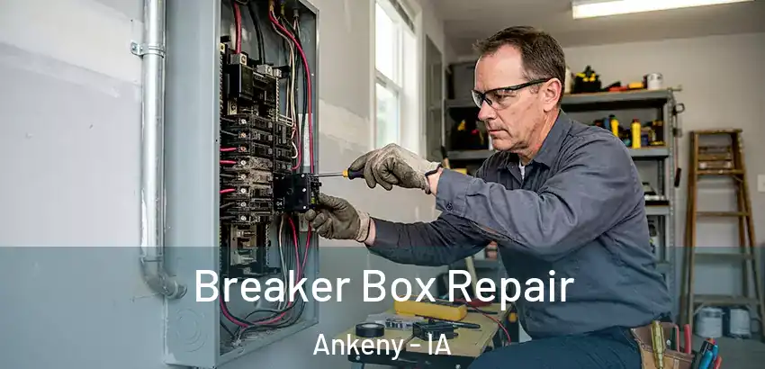 Breaker Box Repair Ankeny - IA