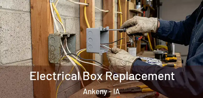 Electrical Box Replacement Ankeny - IA