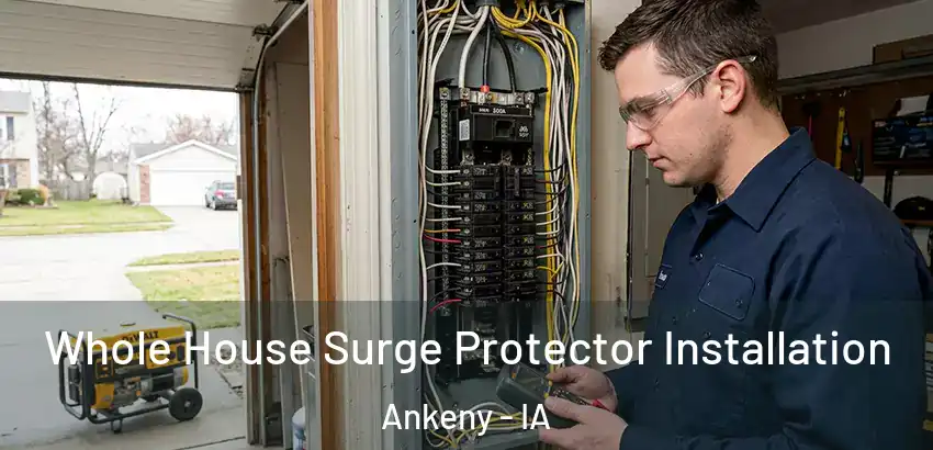 Whole House Surge Protector Installation Ankeny - IA